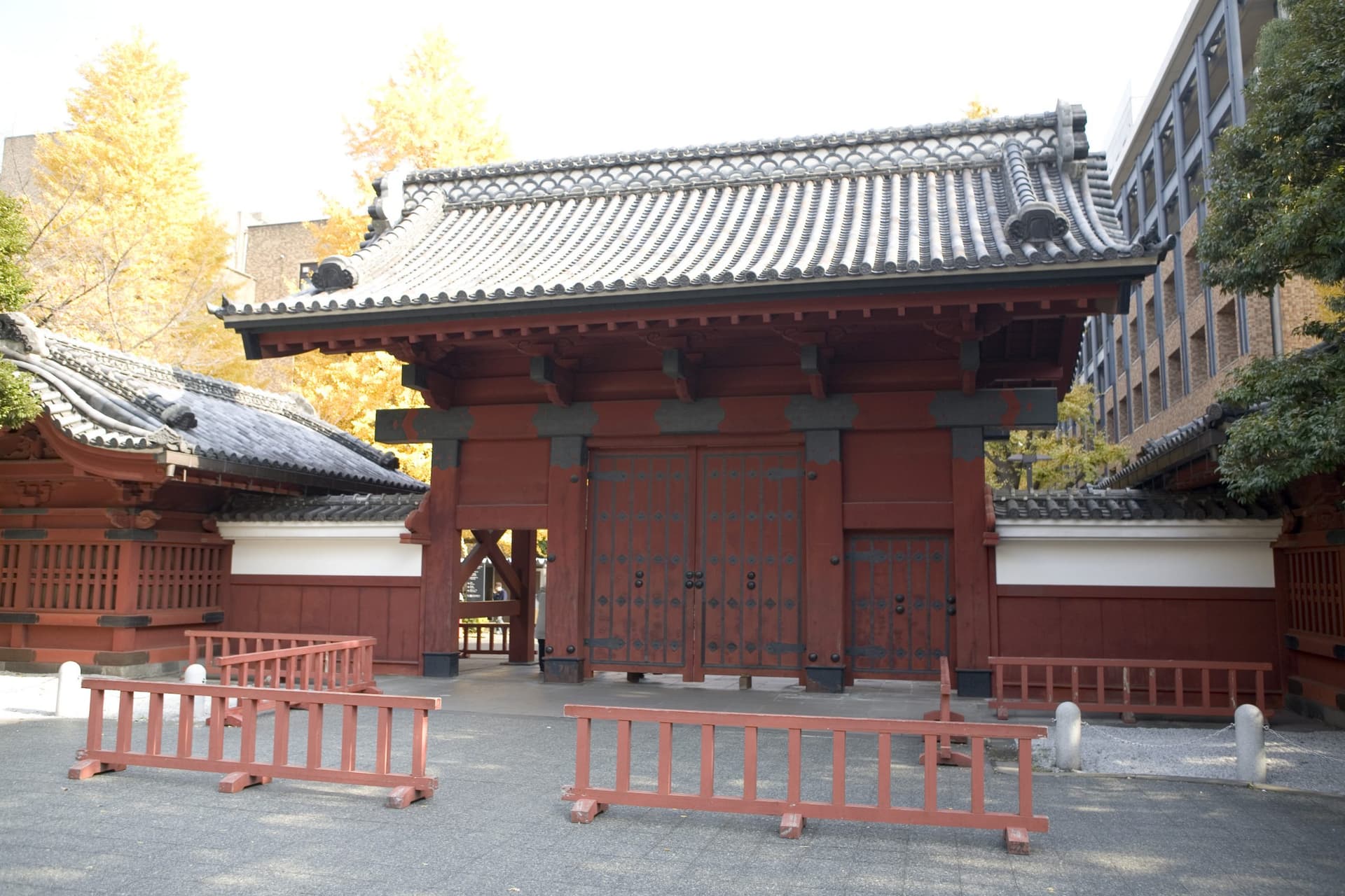 現役合格東大生の定期テスト勉強法解説のサムネイル